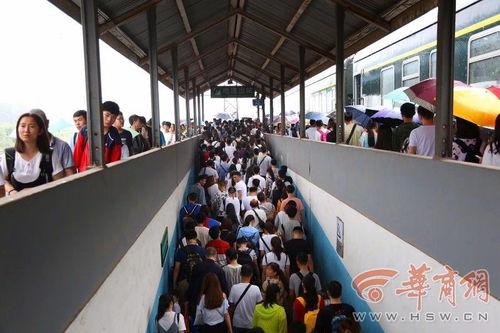 端午假期 渭南三大站发送旅客近8.5万人次